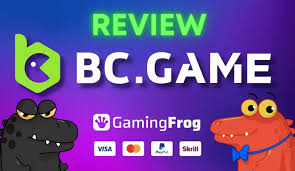 Exploring the Exciting BC Game Bonuses