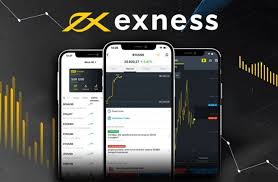 The Comprehensive Guide to Global Exness Broker